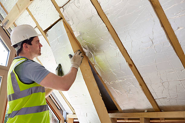 Best Energy-efficient Insulation  in Madisonville, LA
